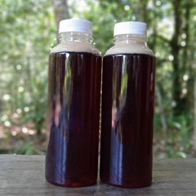 Madu Kelulut Asli
