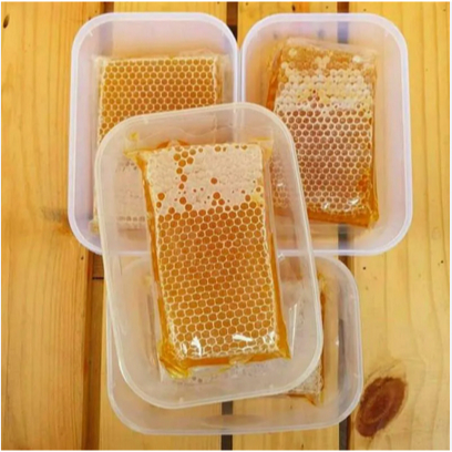 Madu Sarang Lebah